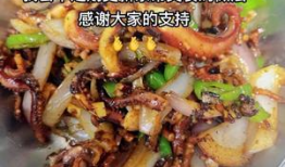 鱿鱼视频,揭秘现实与虚拟的生存挑战